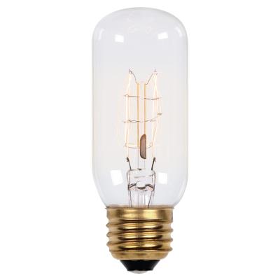 Westinghouse 0412900 60 Watt  Timeless Vintage Inspired   Bulb